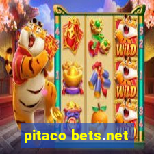 pitaco bets.net